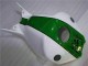 Carénage Honda CBR 1000 RR 2004-2005 - Vert Blanc Carénage Honda CBR 1000 RR 2004-2005 - Vert Blanc