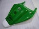 Carénage Honda CBR 1000 RR 2004-2005 - Vert Blanc Carénage Honda CBR 1000 RR 2004-2005 - Vert Blanc
