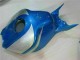 Carénage Honda CBR 1000 RR 2006-2007 - Bleu Argent Carénage Honda CBR 1000 RR 2006-2007 - Bleu Argent