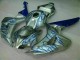 Carénage Honda CBR 1000 RR 2006-2007 - Bleu Flamme Argent Carénage Honda CBR 1000 RR 2006-2007 - Bleu Flamme Argent