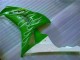 Carénage Honda CBR 1000 RR 2006-2007 - Vert Carénage Honda CBR 1000 RR 2006-2007 - Vert
