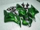 Carénage Honda CBR 600 RR 2009-2012 - Vert