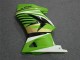 Carénage Kawasaki EX250 2008-2012 - Vert Blanc Noir Ninja Carénage Kawasaki EX250 2008-2012 - Vert Blanc Noir Ninja