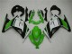 Carénage Kawasaki EX300 2013-2016 - Vert Noir Argent Carénage Kawasaki EX300 2013-2016 - Vert Noir Argent