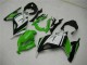 Carénage Kawasaki EX300 2013-2016 - Vert Noir Argent Carénage Kawasaki EX300 2013-2016 - Vert Noir Argent
