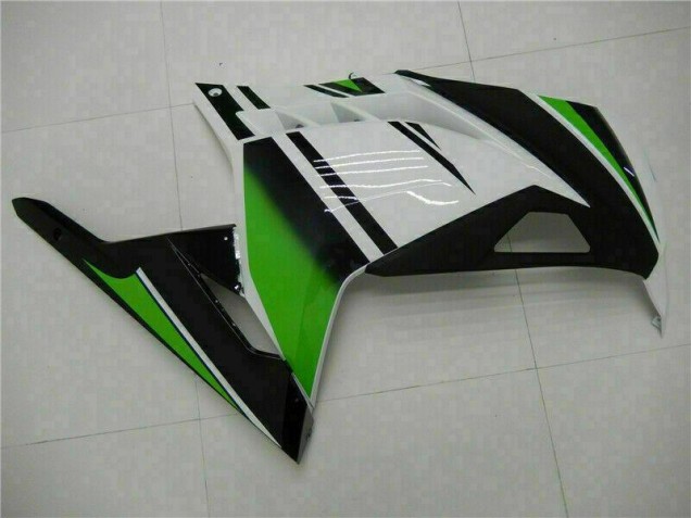 Carénage Kawasaki EX300 2013-2016 - Vert Noir Argent Carénage Kawasaki EX300 2013-2016 - Vert Noir Argent