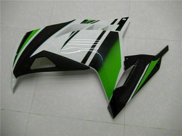 Carénage Kawasaki EX300 2013-2016 - Vert Noir Argent Carénage Kawasaki EX300 2013-2016 - Vert Noir Argent