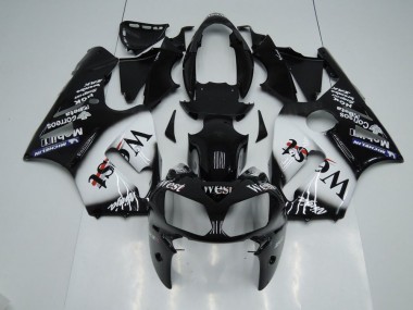 Carénage Kawasaki ZX12R 2002-2006 - West