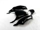 Carénage Kawasaki ZX14R ZZR 1400 2012-2021 - Noir Vert Carénage Kawasaki ZX14R ZZR 1400 2012-2021 - Noir Vert