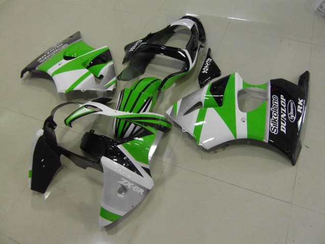 Carénage Kawasaki ZX6R 2000-2002 - Vert Blanc Bande Carénage Kawasaki ZX6R 2000-2002 - Vert Blanc Bande