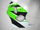 Carénage Kawasaki ZX6R 2000-2002 - Vert Blanc Noir Carénage Kawasaki ZX6R 2000-2002 - Vert Blanc Noir