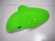 Carénage Kawasaki ZX6R 2000-2002 - Vert Blanc Noir Carénage Kawasaki ZX6R 2000-2002 - Vert Blanc Noir
