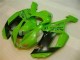 Carénage Kawasaki ZX6R 2007-2008 - Vert Noir Dunlop Carénage Kawasaki ZX6R 2007-2008 - Vert Noir Dunlop