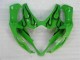 Carénage Suzuki GSXR 1000 K5 2005-2006 - Vert Carénage Suzuki GSXR 1000 K5 2005-2006 - Vert