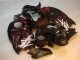 Carénage Suzuki GSXR 1300 Hayabusa 1996-2007 - Noir Rouge Flamme