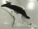 Carénage Yamaha R6 2008-2016 - Blanc Carénage Yamaha R6 2008-2016 - Blanc