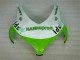 Carénages Honda CBR 1000 RR 2008-2011 - Vert Blanc Carénages Honda CBR 1000 RR 2008-2011 - Vert Blanc