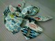 Carénages Honda CBR 600 RR 2005-2006 - Blanc Bleu Nastro Azzurro 46 Carénages Honda CBR 600 RR 2005-2006 - Blanc Bleu Nastro Azzurro 46