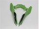 Carénages Kawasaki EX300 2013-2016 - Vert Noir Carénages Kawasaki EX300 2013-2016 - Vert Noir