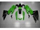 Carénages Kawasaki EX650 2009-2011 - Vert Noir Carénages Kawasaki EX650 2009-2011 - Vert Noir