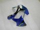 Carénages Kawasaki ZX6R 2000-2002 - Bleu