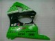 Carénages Kawasaki ZX6R 2000-2002 - Vert Noir Carénages Kawasaki ZX6R 2000-2002 - Vert Noir