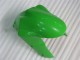 Carénages Kawasaki ZX6R 2005-2006 - Vert Carénages Kawasaki ZX6R 2005-2006 - Vert