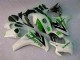 Carrosserie Honda CBR 1000 RR 2008-2011 - Vert Blanc Carrosserie Honda CBR 1000 RR 2008-2011 - Vert Blanc