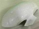 Kit Carénages & Plastique Yamaha R6 2008-2016 - Blanc Noir Kit Carénages & Plastique Yamaha R6 2008-2016 - Blanc Noir